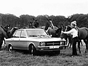 Bild (4/9): Volkswagen K70 (1969) - Wenigstens von Pferden gemocht (© Zwischengas Archiv)